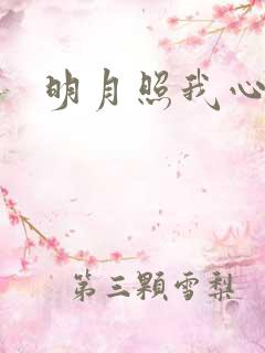 明月照我心小说