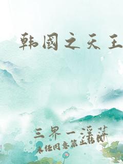 韩国之天王