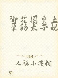 御花园皇上c有孕的太子妃