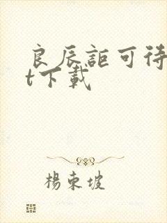 良辰讵可待txt下载