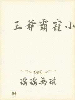 王爷霸宠小甜妻