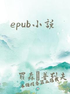 epub小说