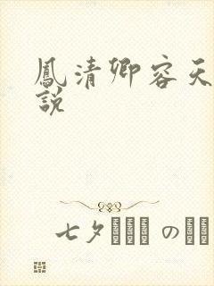 凤清卿容天凌小说