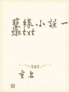 孽缘小说一家乱炖txt