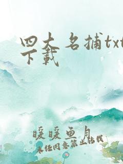四大名捕txt下载