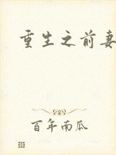 重生之前妻之惑