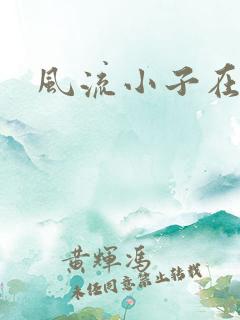 风流小子在异世