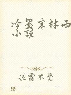 冷墨寒林雨彤的小说