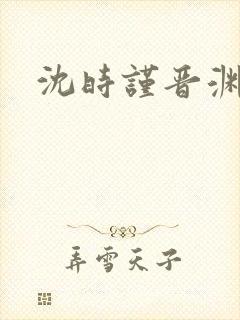 沈时谨晋渊小说