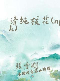 清纯校花(nph)