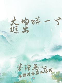 大肉蟒一寸一寸进出