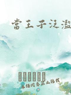 当王子泛滥之时