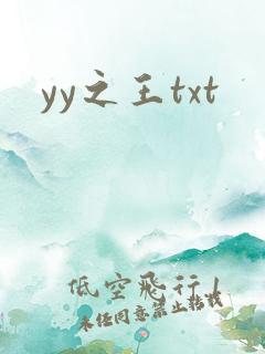 yy之王txt