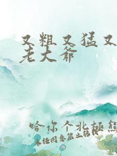 又粗又猛又大爽老大爷