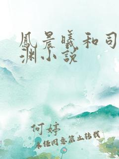 凤晨曦和司鸿颜渊小说
