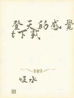 登天的感觉txt下载