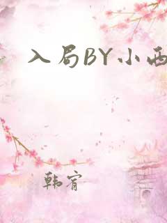 入局BY小西
