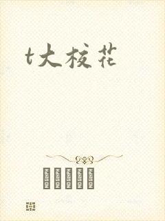 t大校花
