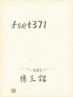 fset371