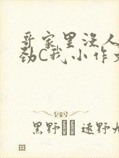 哥家里没人使点劲C我小作文视频