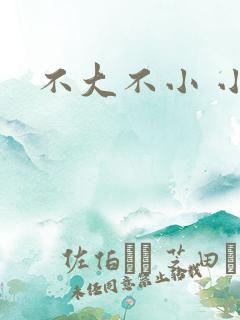 不大不小 小说