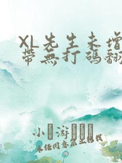 XL先生未增删带无打码翻译