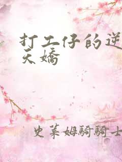 打工仔的逆袭楚天娇
