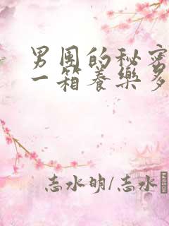 男团的秘密BY一箱养乐多小说