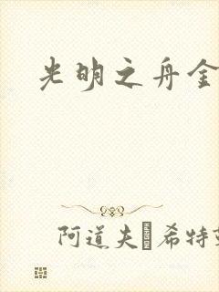 光明之舟金手指