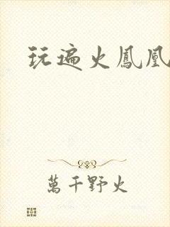 玩遍火凤凰队员