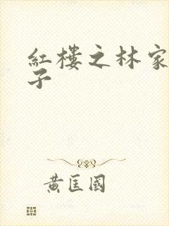 红楼之林家庶长子