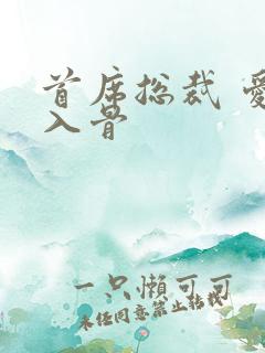 首席总裁 爱你入骨