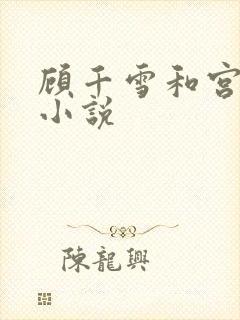 顾千雪和宫凌沨小说