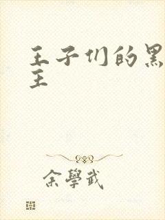 王子们的黑道公主