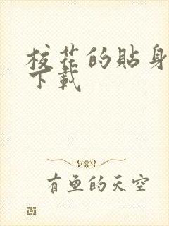 校花的贴身保镖下载