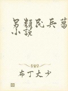 另类民兵葛二蛋小说