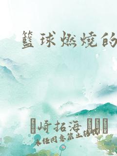 篮球燃烧的岁月