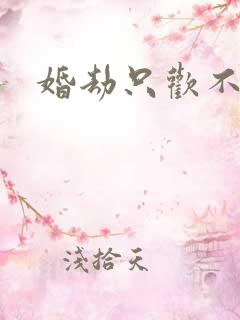 婚劫只欢不爱
