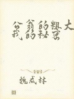 公翁的粗大放进我的秘密