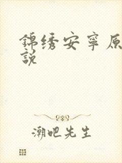 锦绣安宁原著小说
