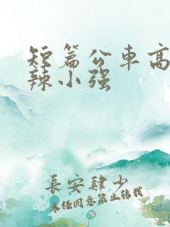 短篇公车高h肉辣小强