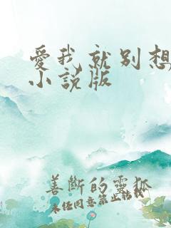爱我就别想太多小说版