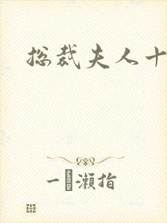 总裁夫人十八岁