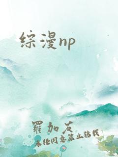 综漫np
