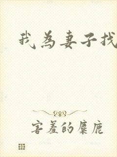 我为妻子找男妓