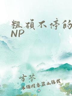 粗硕不停的进出NP