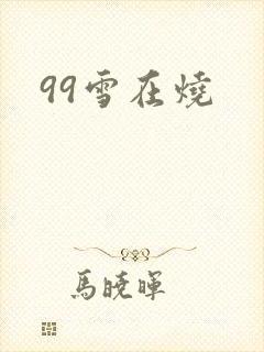 99雪在烧