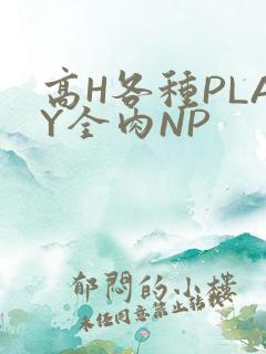 高H各种PLAY全肉NP