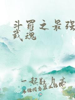 斗罗之最强治疗武魂