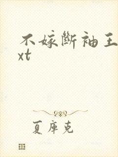 不嫁断袖王爷txt